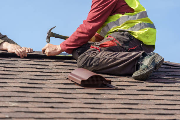 Best Residential Roof Replacement  in Shawneeland, VA