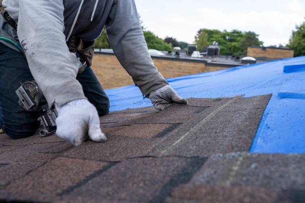 Best Roof Waterproofing Services  in Shawneeland, VA